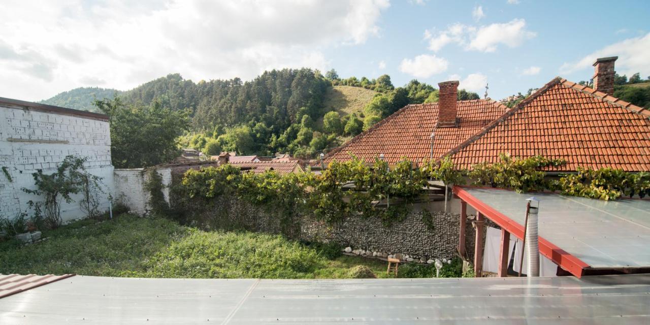 Transylvania Guest House Braşov Extérieur photo